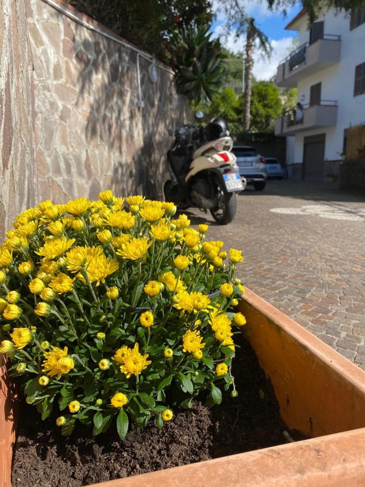 Appartamento Da Ste Ercolano Esterno foto